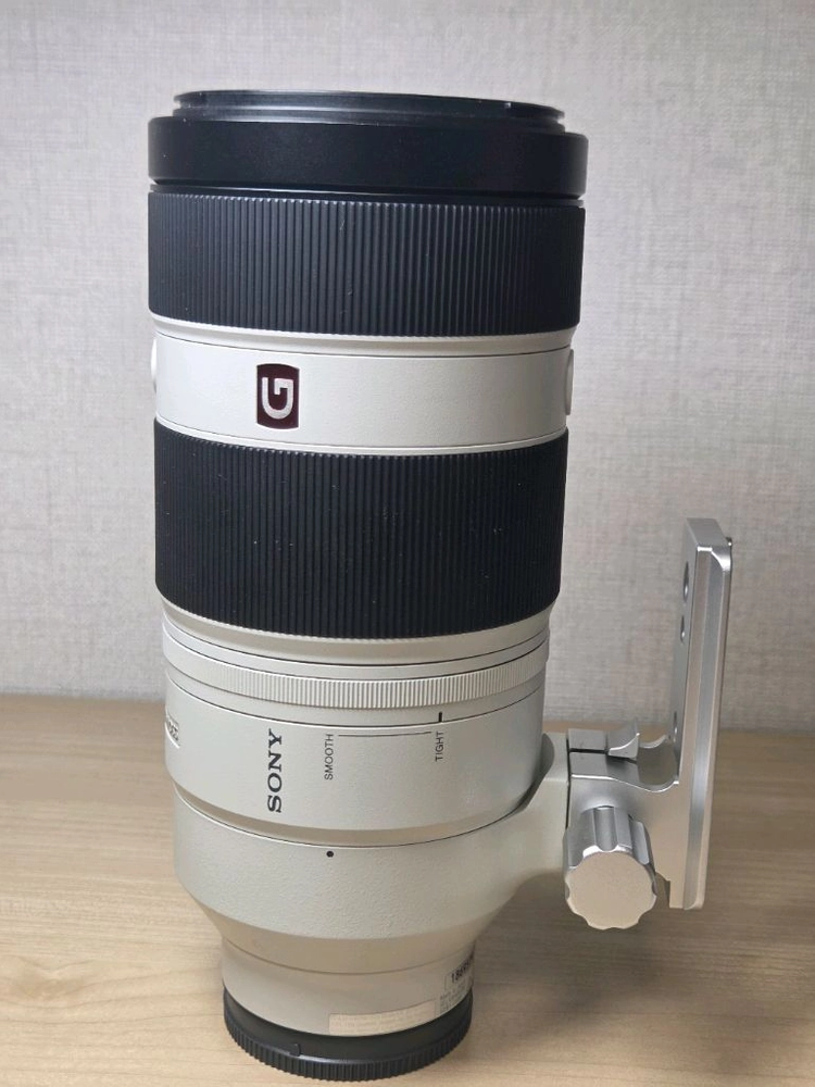 소니 FE 100-400mm F4.5-5.6 GM OSS 백사금 - 안심되는 중고거래
