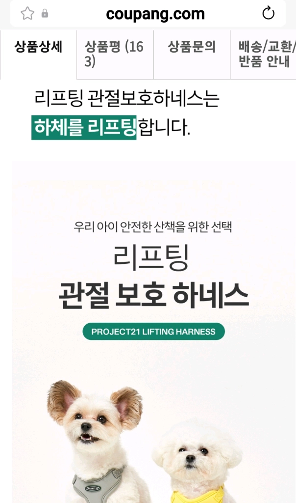 슬개골 탈구 예방 하네스.쿠팡 최저가46900 리프팅 관절보호 프로젝트21 하네스 목줄(새상품) 이미지