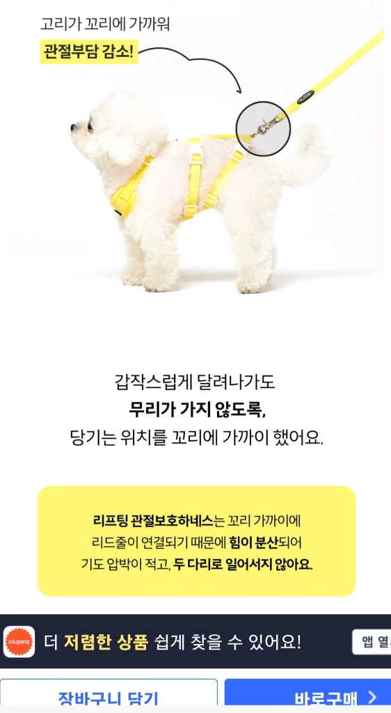 슬개골 탈구 예방 하네스.쿠팡 최저가46900 리프팅 관절보호 프로젝트21 하네스 목줄(새상품) 이미지