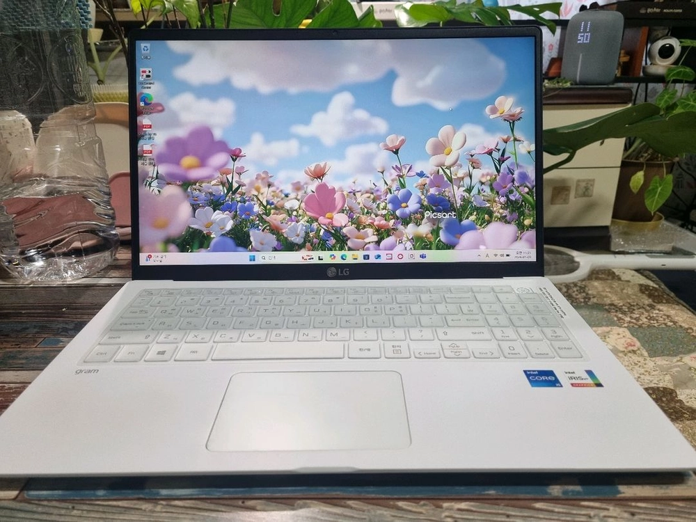 LG 그램 15인치 15Z95N-GRWWL 이미지
