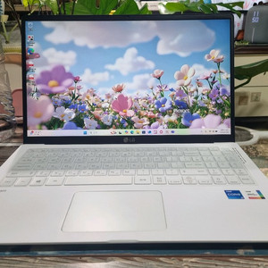 LG 그램 15인치 15Z95N-GRWWL 이미지