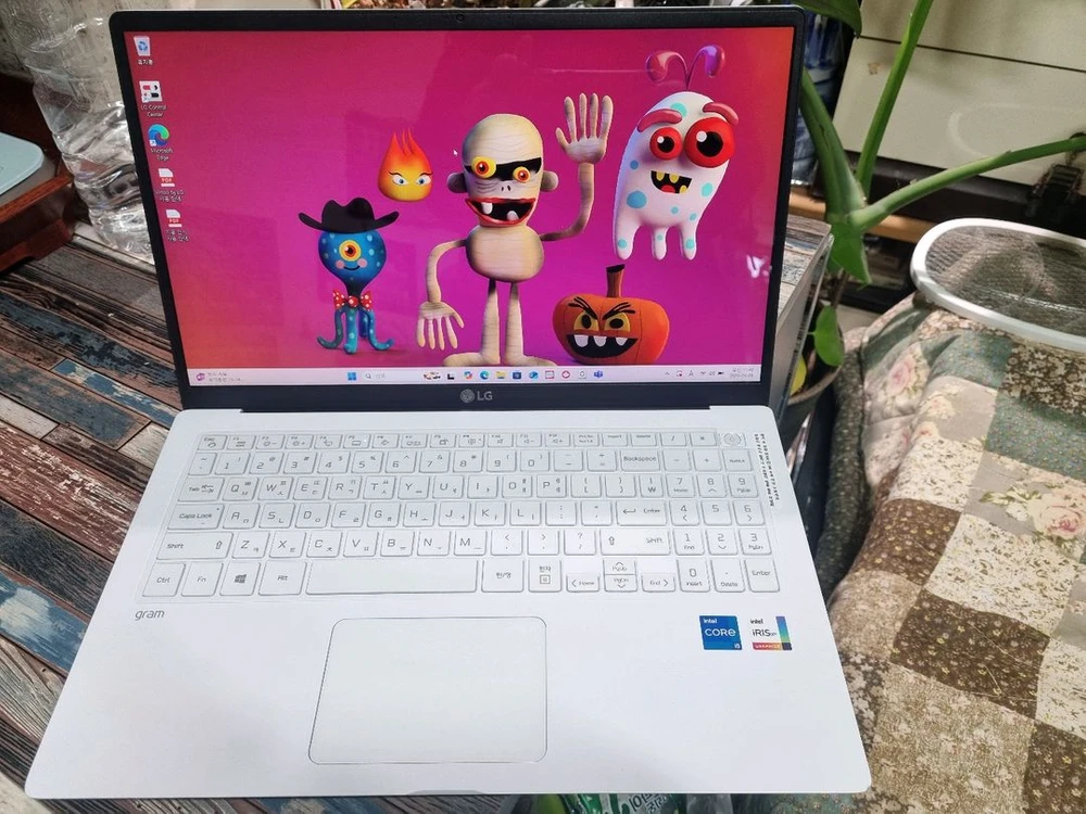 LG 그램 15인치 15Z95N-GRWWL 이미지