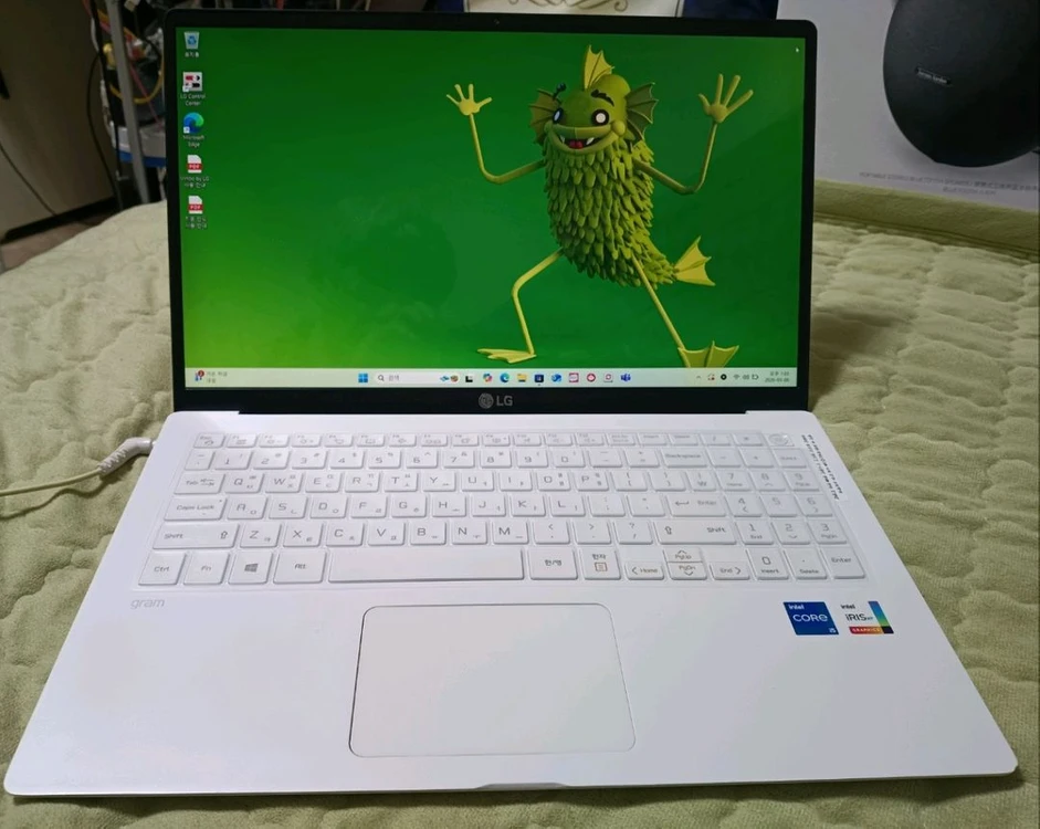 LG 그램 15인치 15Z95N-GRWWL 이미지