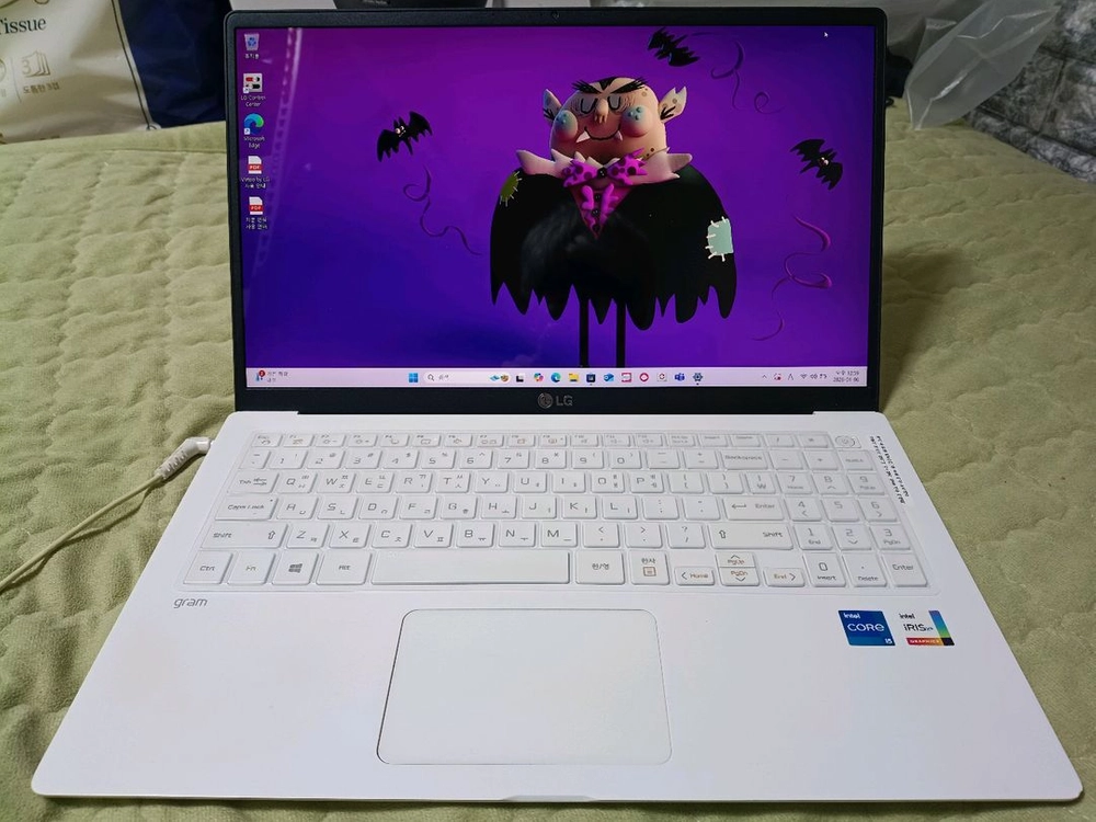 LG 그램 15인치 15Z95N-GRWWL 이미지