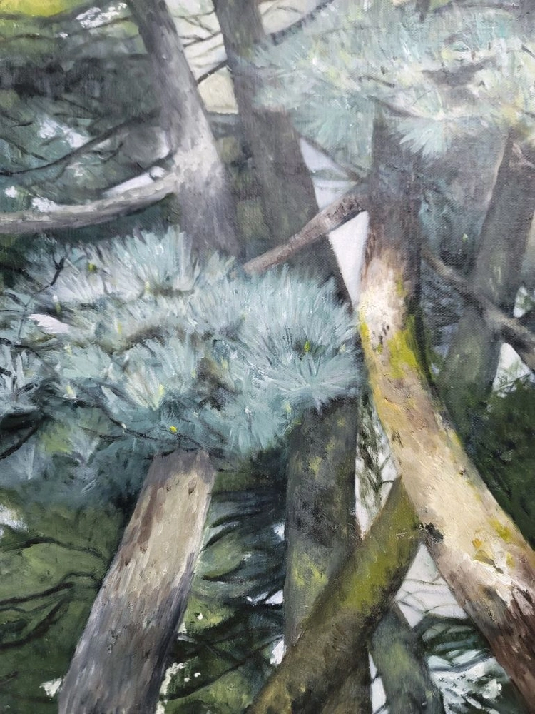 유화그림 30호 나무들 이미지