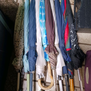 장마철 중고 우산 10개 이미지
