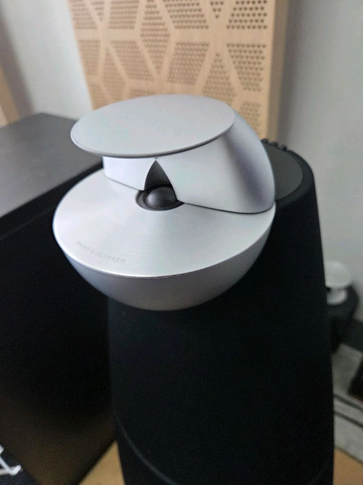 B&O 뱅엔올룹슨 베오랩9 스피커 beolab9 이미지