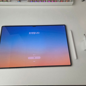 갤럭시탭 s9 울트라 wifi 256기가 이미지