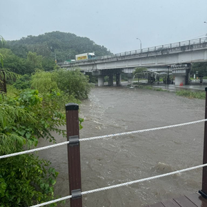 롤 rp 선물식 직충식 둘다 사요 이미지