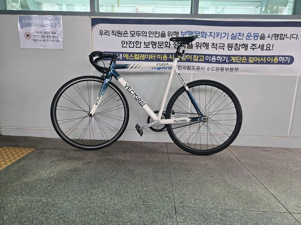 벡터 포르자 픽시 자전거 판/대 - 안심되는 중고거래