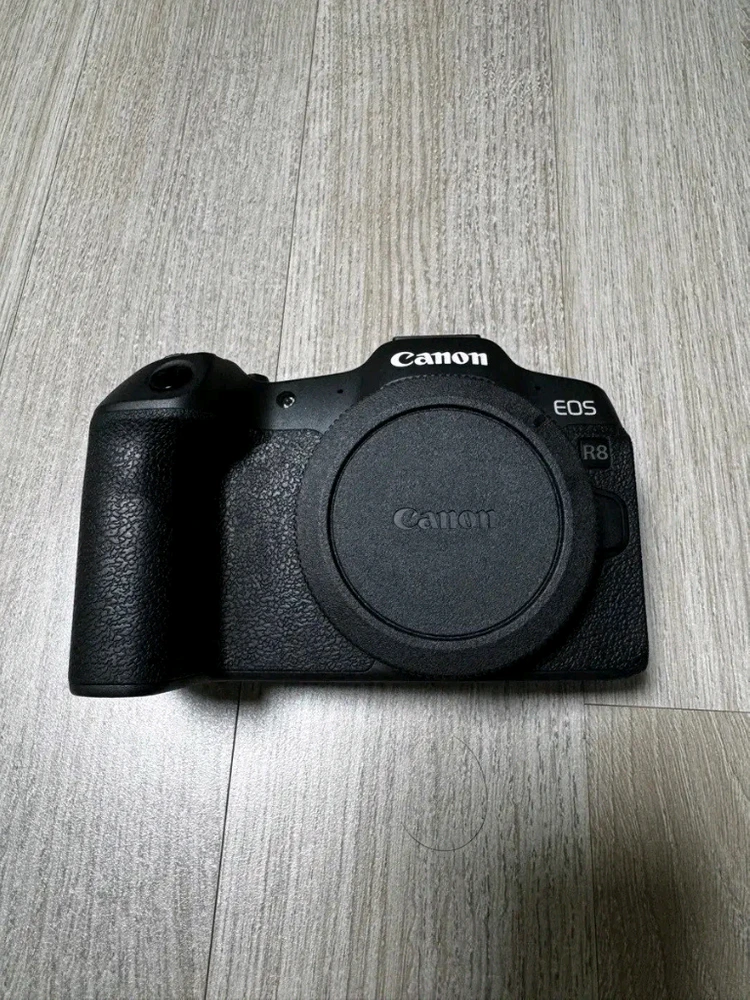 캐논 eos r8 - 안심되는 중고거래