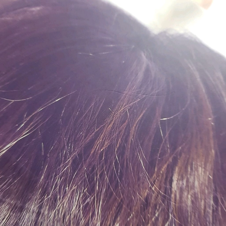 BTS 앨범 포토카드 굿즈 세트 이미지