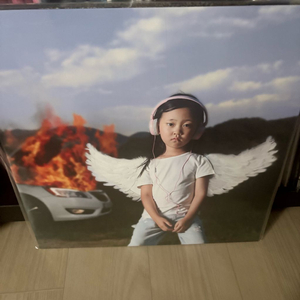 카더가든 car the garden - harmony lp 하모니 미개봉 이미지