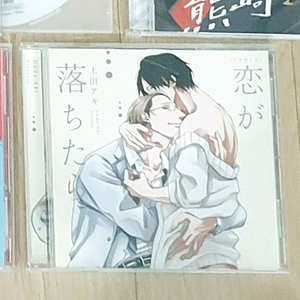 사랑이 떨어지면 드라마 cd (BL 비엘 만화 드씨) 이미지
