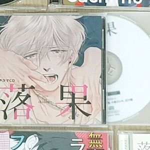 낙과 드라마 cd + 특전 캐스트 토크 (BL 비엘 만화 드씨) 이미지