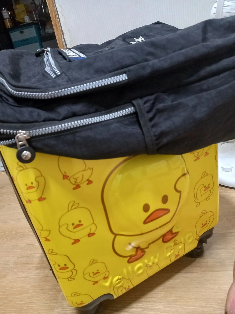 캐리어가방 노랑 고양이 이미지