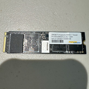 파이슨 M.2 NVMe SSD 256GB phison 이미지