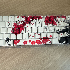 Venom60he RGB v2 이미지