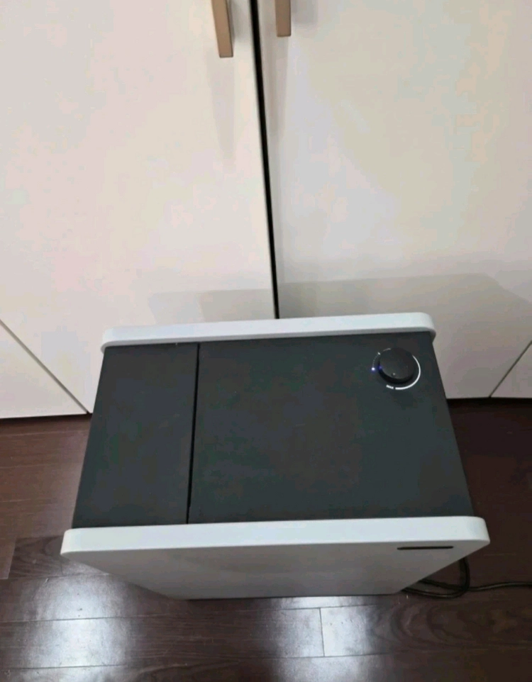 스웨덴 루프트럼 공기청정기 BC400 이미지