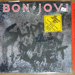 헤비메탈 LP BON JOVI 이미지