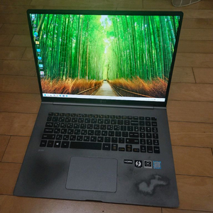 2019 17인치 그램 17zd990 i7