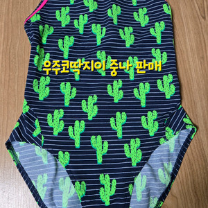펑키타 선인장 다이아몬드백 우8 이미지