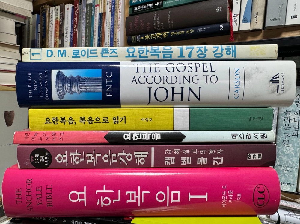 요한복음 주석, 설교집 이미지