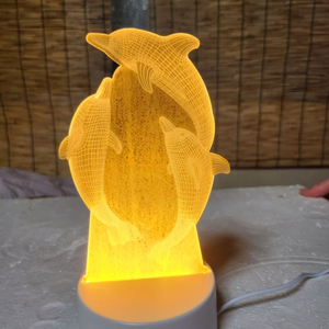 LED 돌고래 등 이미지