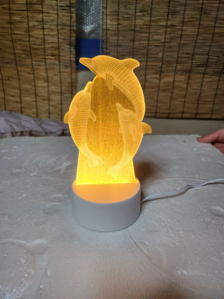LED 돌고래 등 이미지