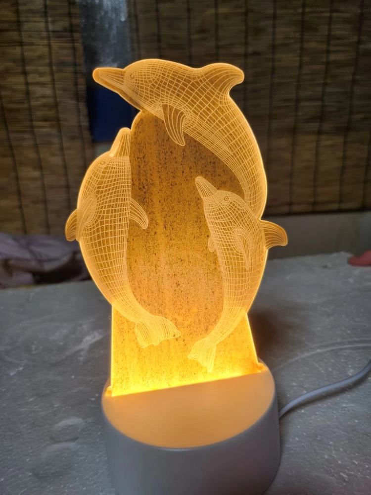 LED 돌고래 등 이미지