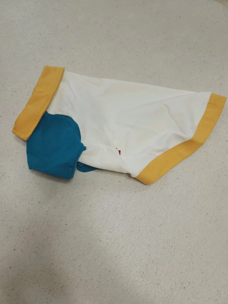 강아지옷 2XL 반팔 카라 티셔츠 옐로우블루 배색 반려견 애견의류 이미지