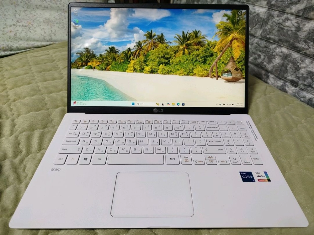 LG 그램 15인치 15Z95N-GP5TL 이미지