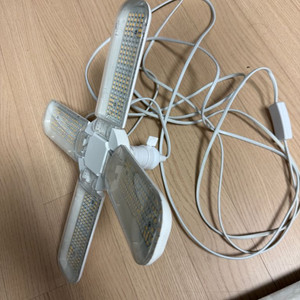 행잉 식물등 안스리움 알로카시아 필로덴드론 칼라디움 몬스테라 이미지