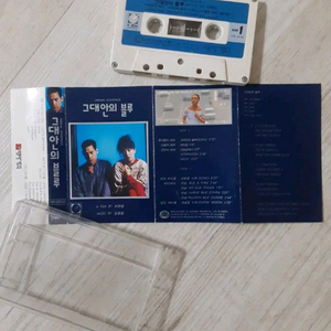 그대안의 블루 카세트테이프 이미지