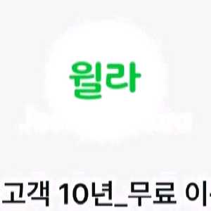 윌라 1개월 무료 이용권 이미지