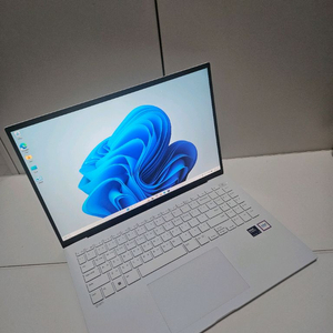 LG그램 노트북 16ZD90SU 16인치 U5/램16/SSD256