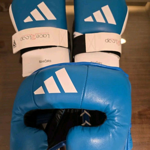 Adishori 아디쇼리 세트 헤드기어m사이즈 글러브 이미지