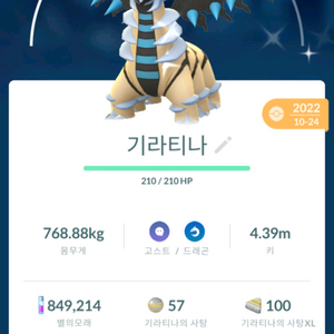 포켓몬고 기라티나 이로치 이미지