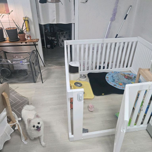 강아지 펜스 이미지