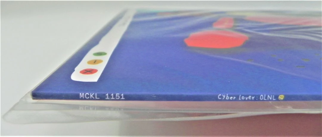 [미개봉/한정판] 오르내림 OLNL 2집 Cyber Lover LP (스톤쉽 / Heavy Weight Vinyl) 이미지