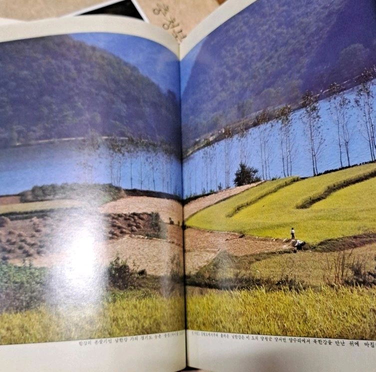 뿌리깊은나무ㆍ한국의 재발견 11권셋트 이미지