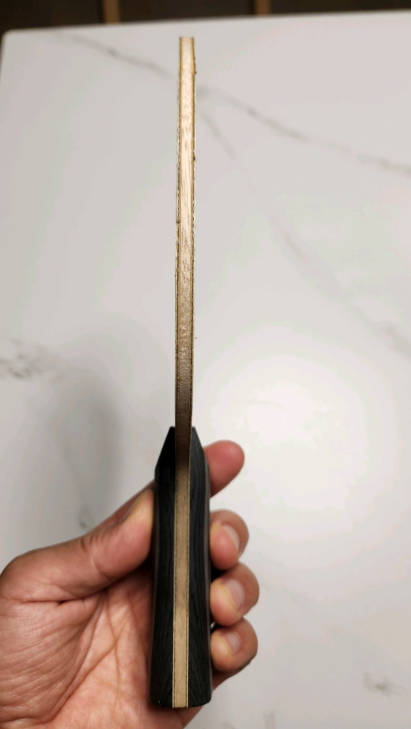판젠동 zlc탁구라켓 이미지