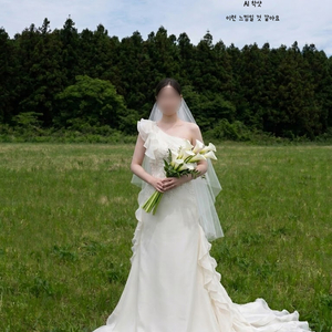 이탈리아 수입드레스 CARLO PIGNATELLI 100% 천연실크 원숄더 드레스 (셀프웨딩 야외스냅 연주회 무대 이미지