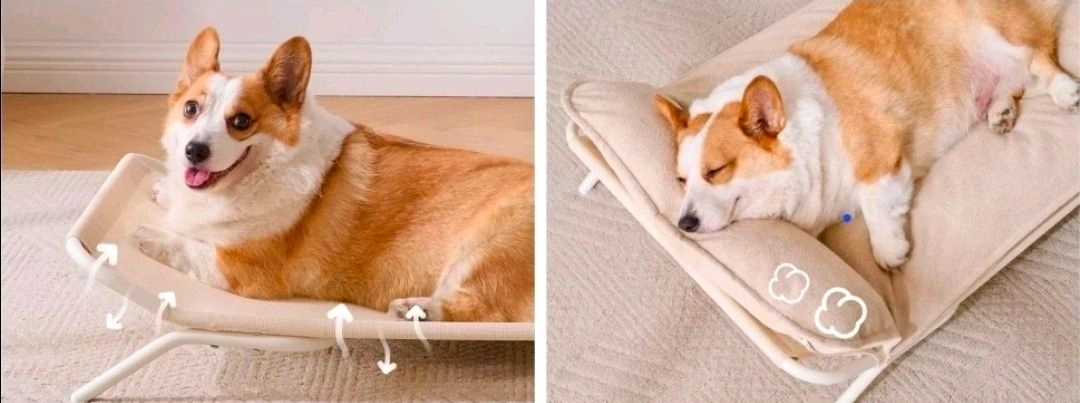 강아지 쿠션 침대 이미지
