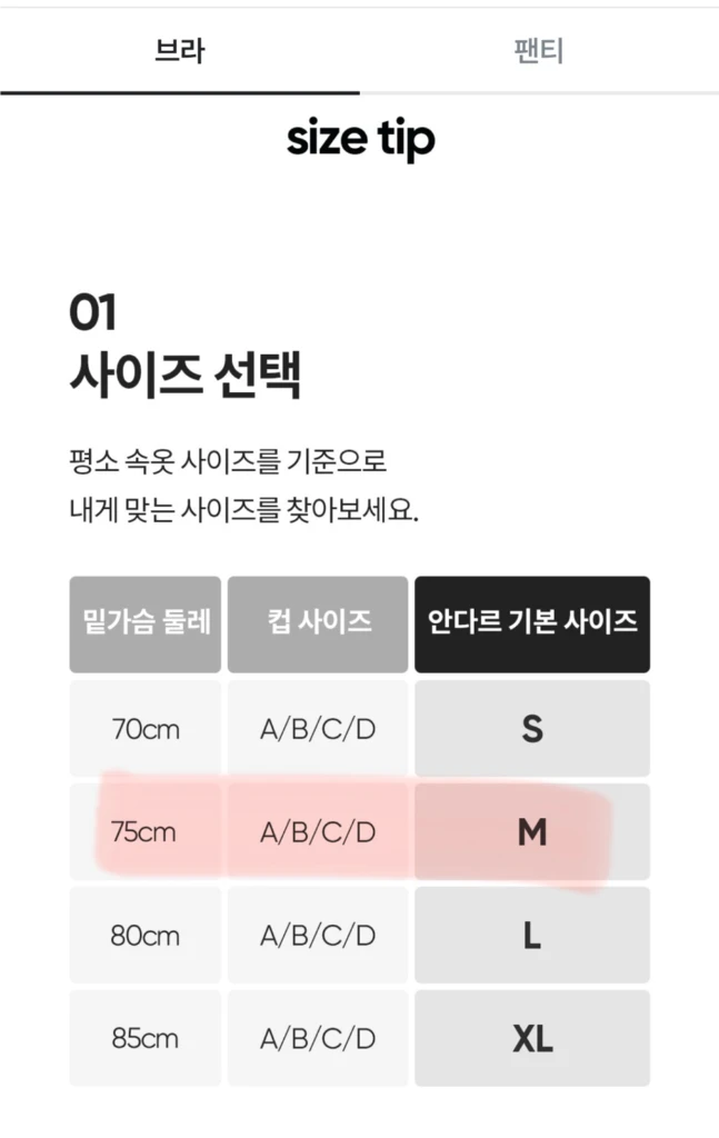 새옷/안다르 스포츠 브라 & 팬티 세트 이미지