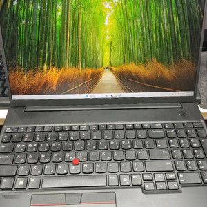레노버 씽크패드 노트북 225u, 16GB 이미지
