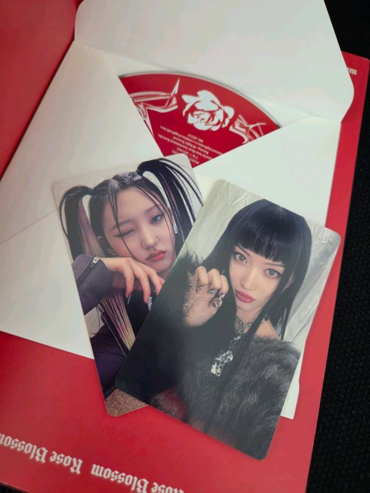 (친필 싸인) 하이키 미니 1집 건물 사이에 피어난 장미 CD 앨범 이미지