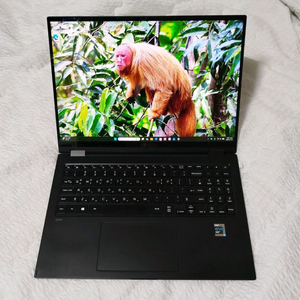 LG그램 16T90P-GR5BK 360 블랙 터치노트북