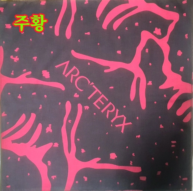 아크테릭스 아이코닉 스켈레톤 손수건 반다나 이미지