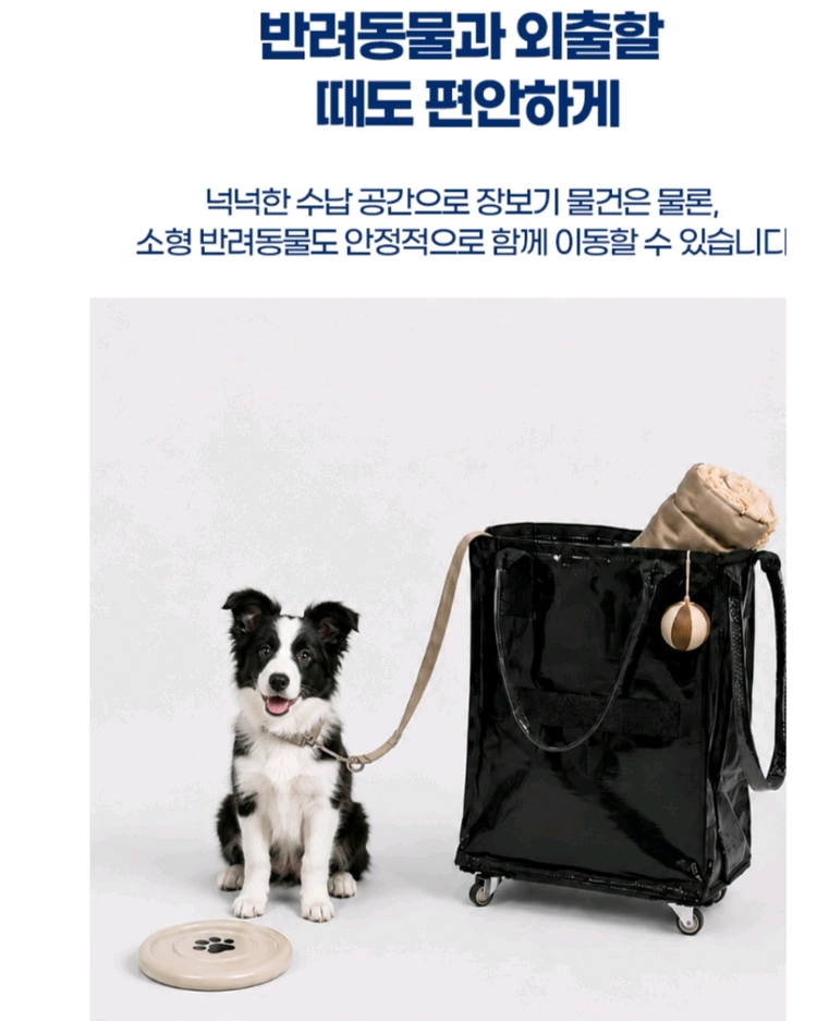 접이식 장바구니 캐리어 60L 대용량 이미지